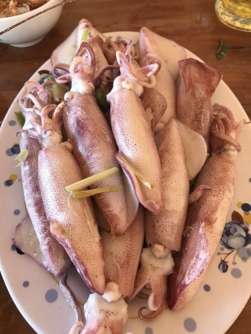 MỰC NHÁY HÀ TĨNH