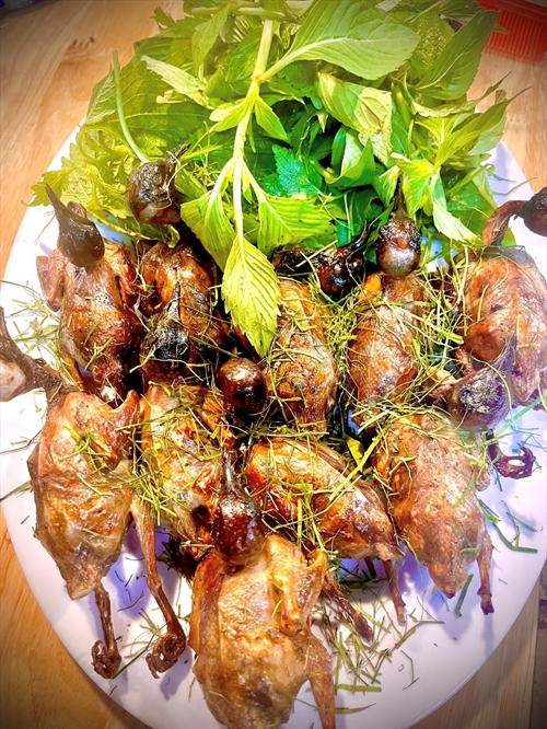 CHIM CU ĐẤT – ĐẶC SẢN CHIM TRỜI