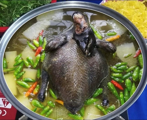 GÀ ĐEN H’ MÔNG Đặc Sản Trứ Danh của Vùng Núi Tây Bắc